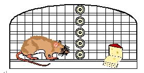 首页-PT视讯厅真人官方网站