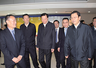 原中央政治局常委、 时任国务院副总理张德江调查PT视讯科技