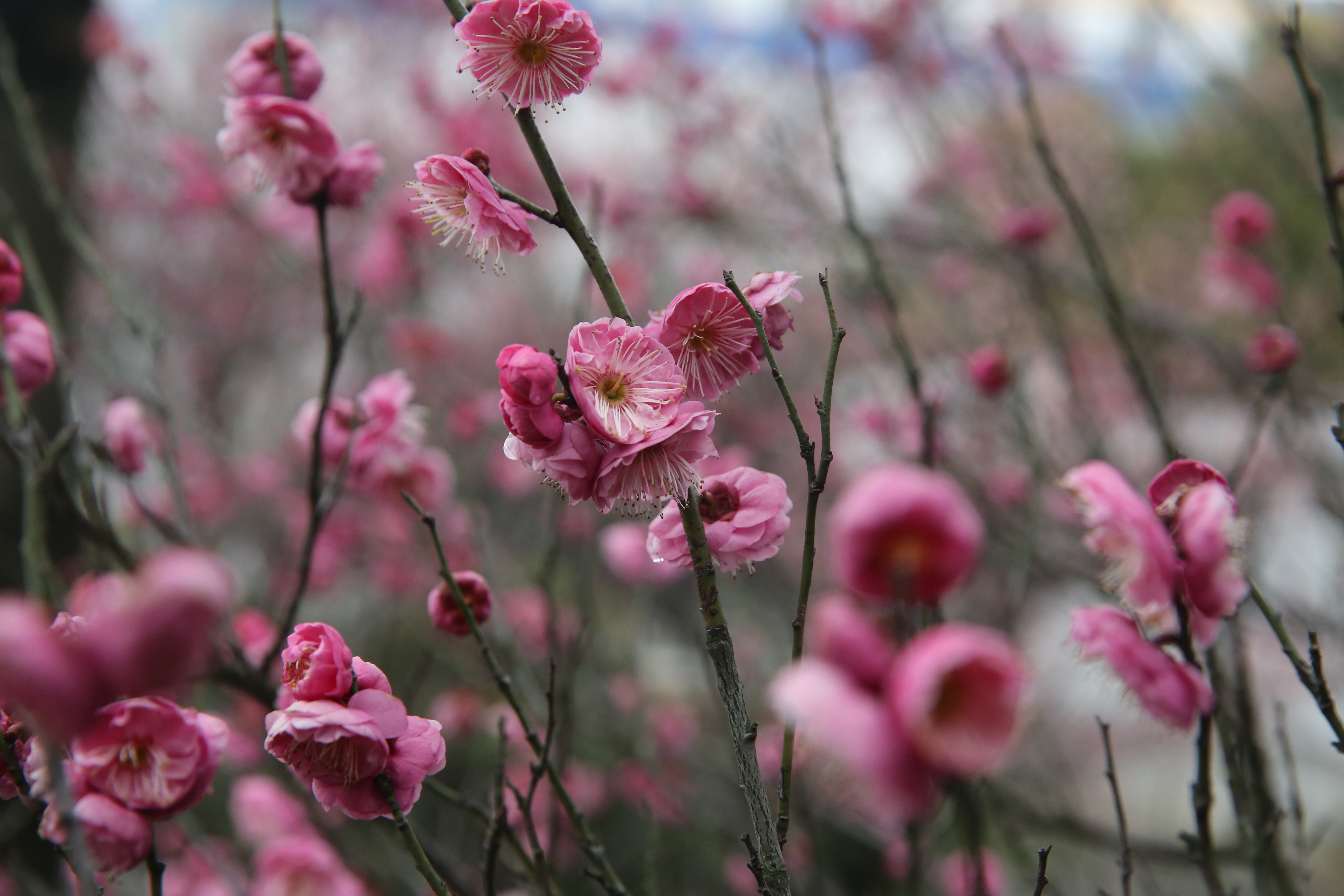 首页-PT视讯厅真人官方网站