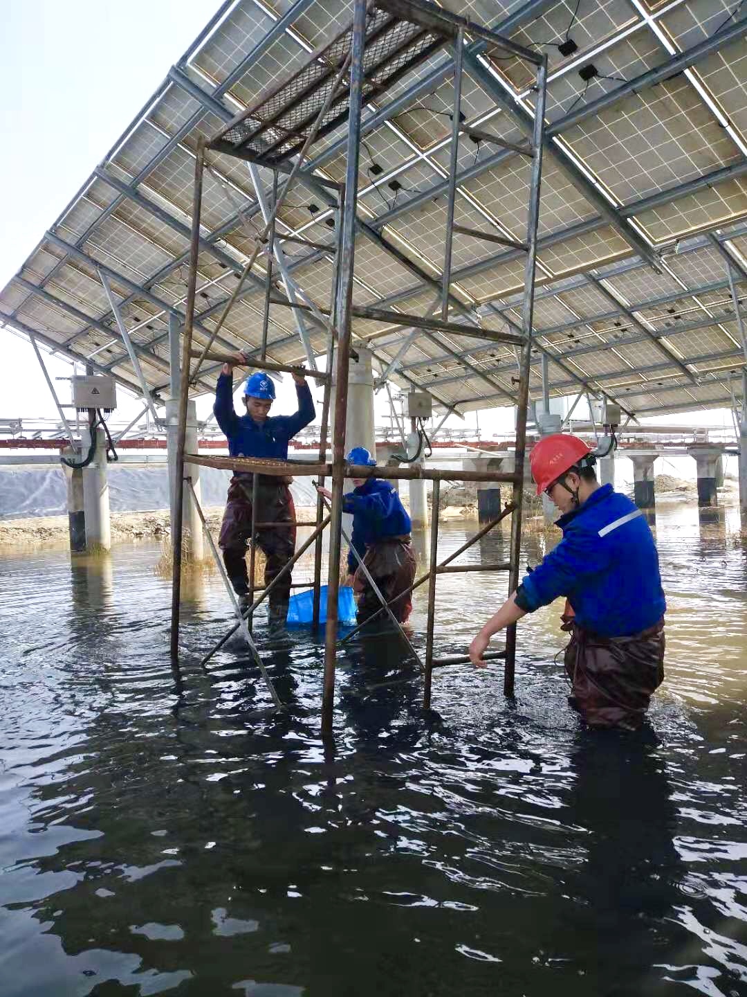 首页-PT视讯厅真人官方网站