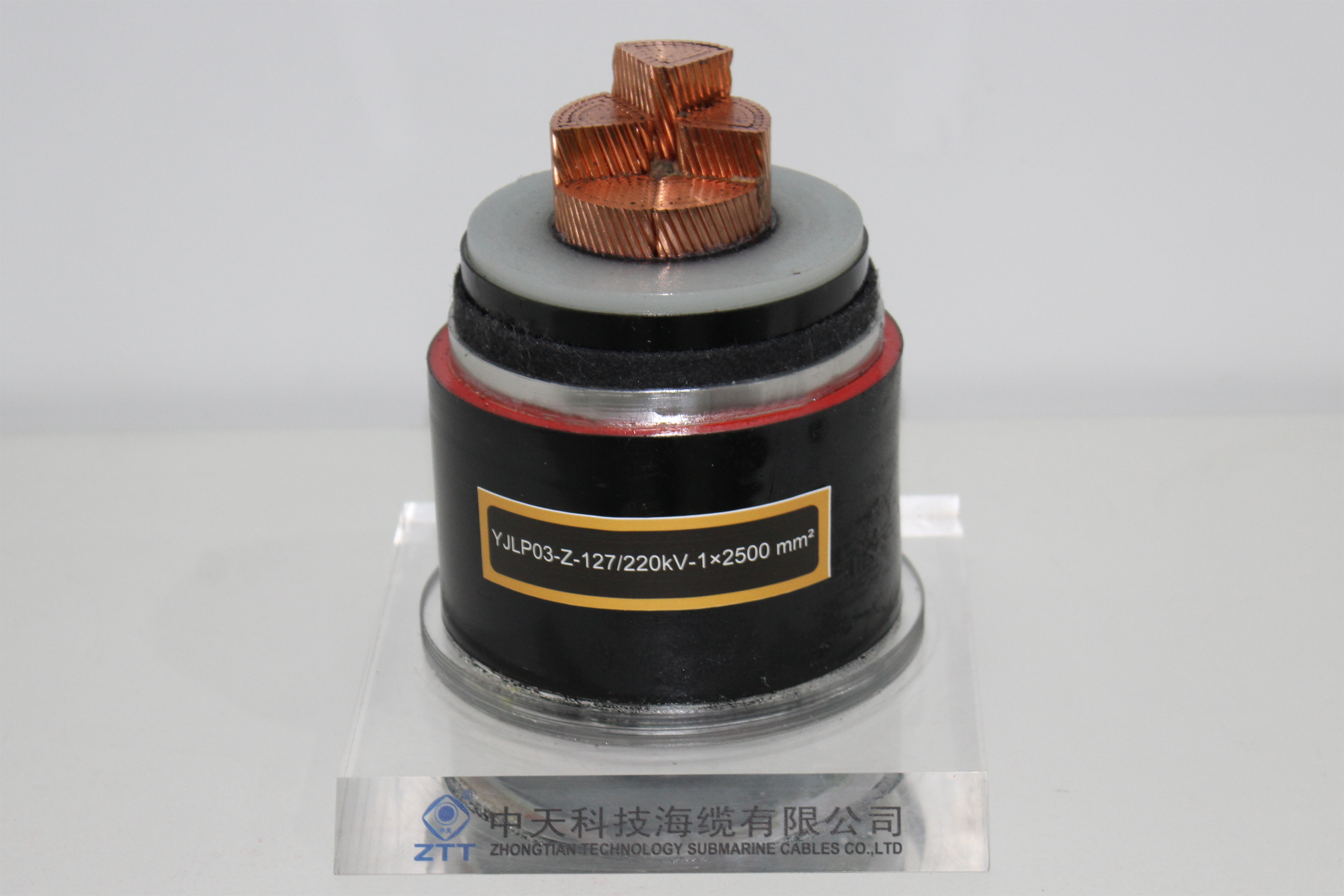 首页-PT视讯厅真人官方网站