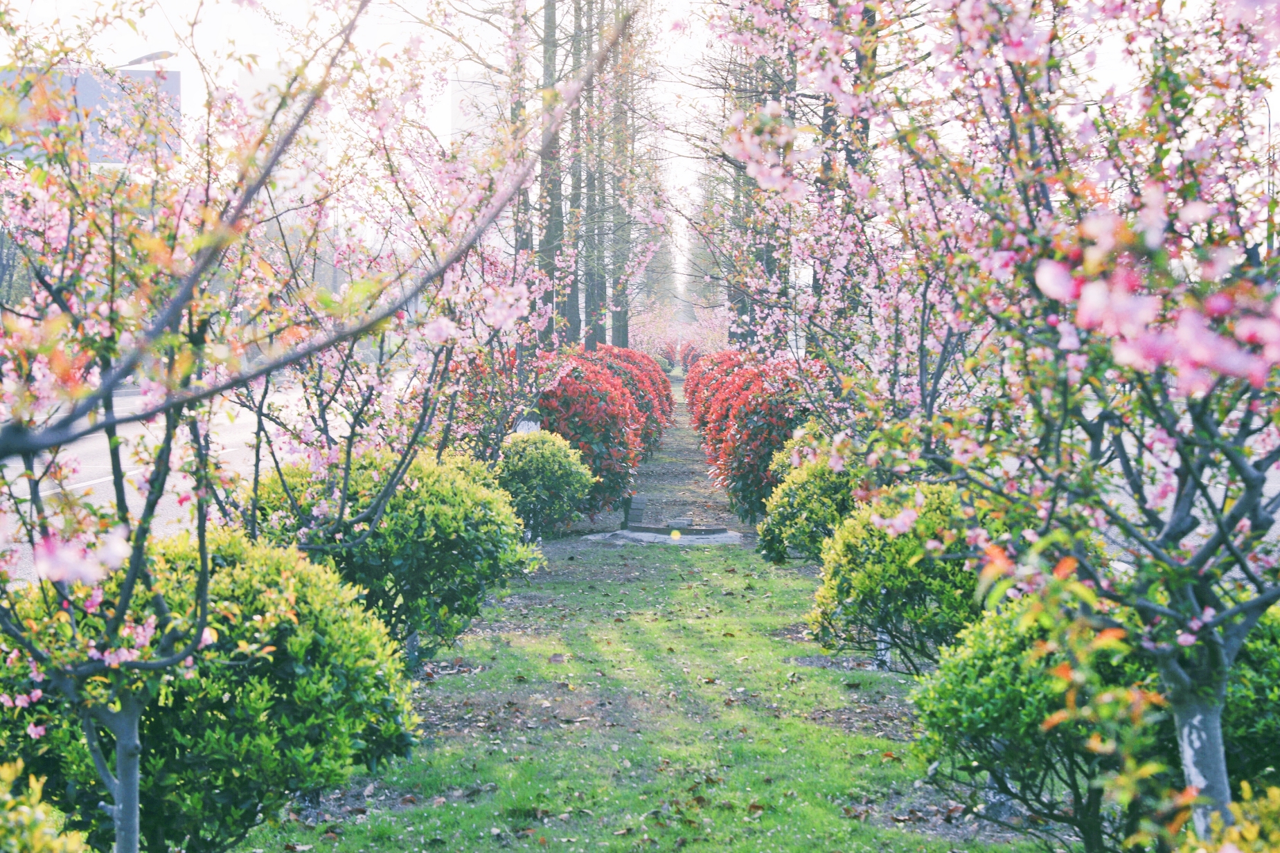 首页-PT视讯厅真人官方网站