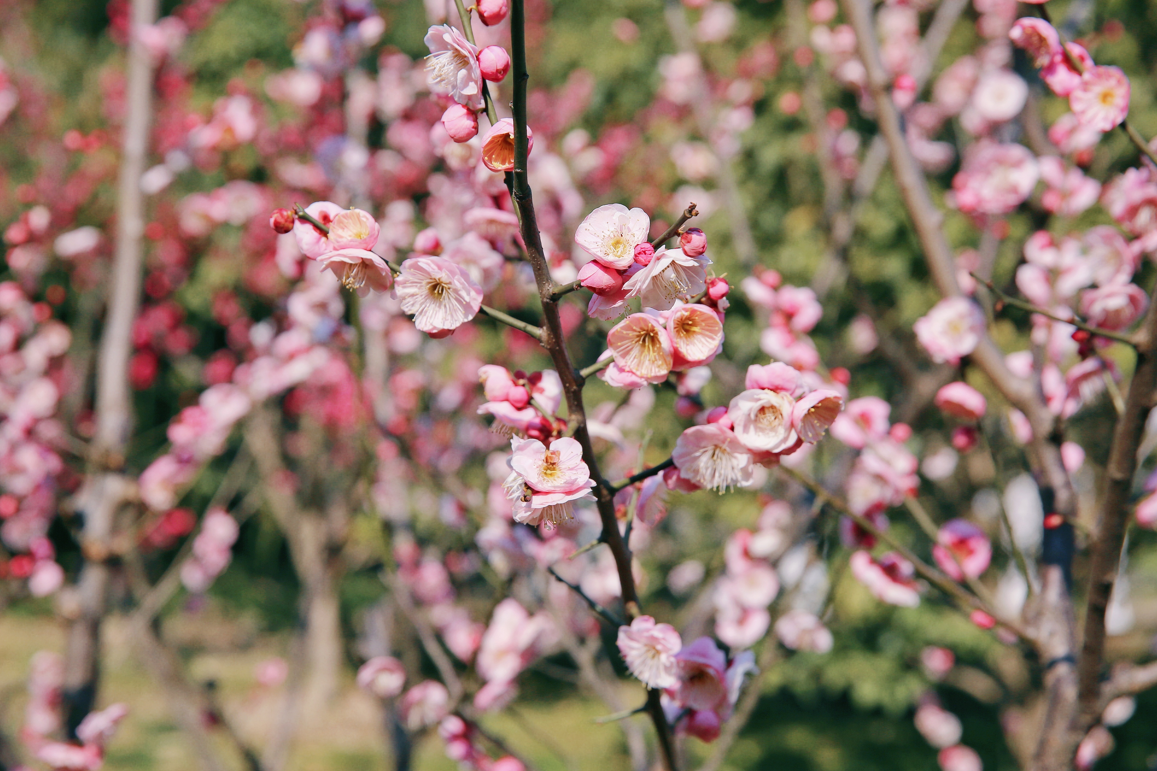首页-PT视讯厅真人官方网站