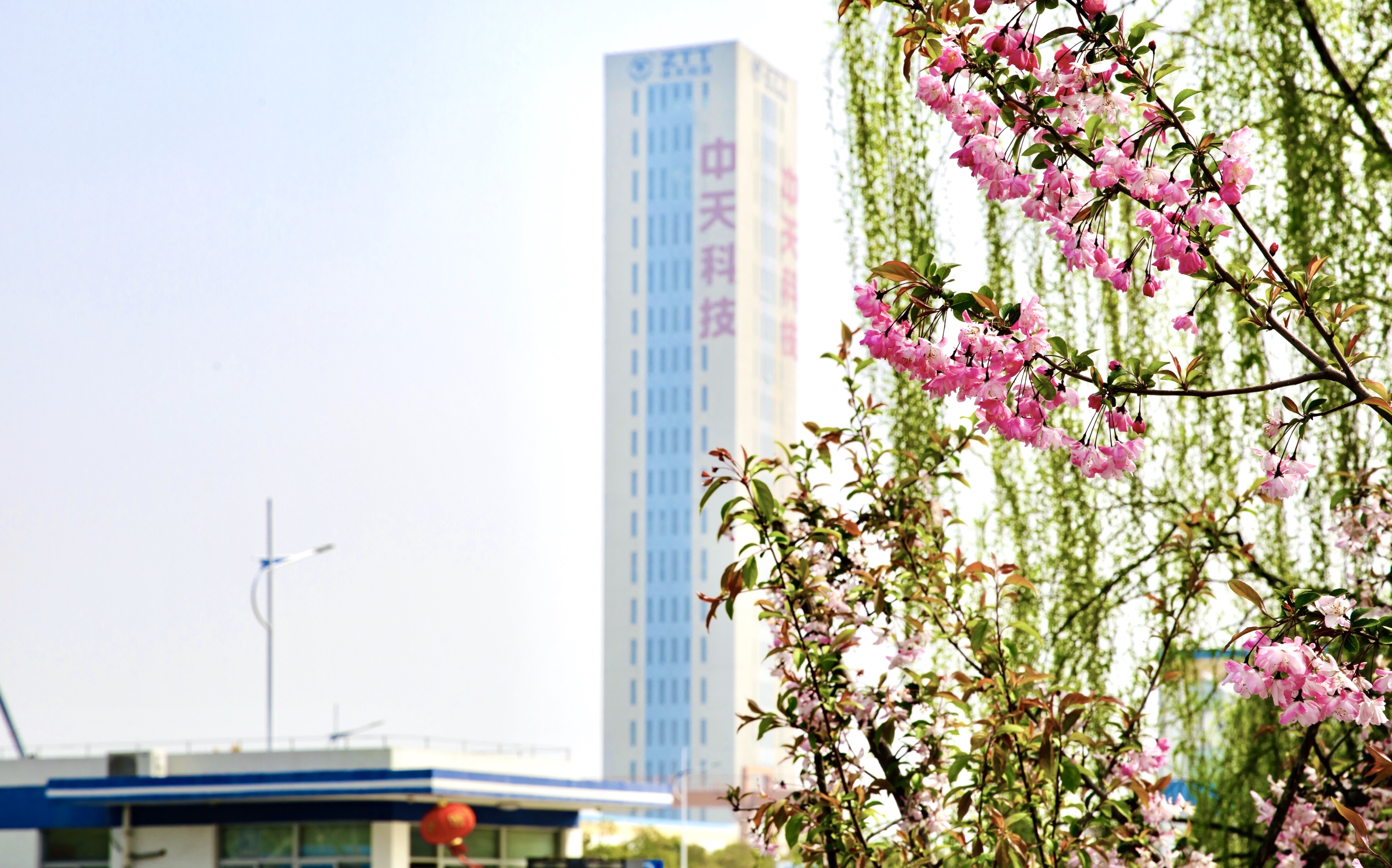 首页-PT视讯厅真人官方网站