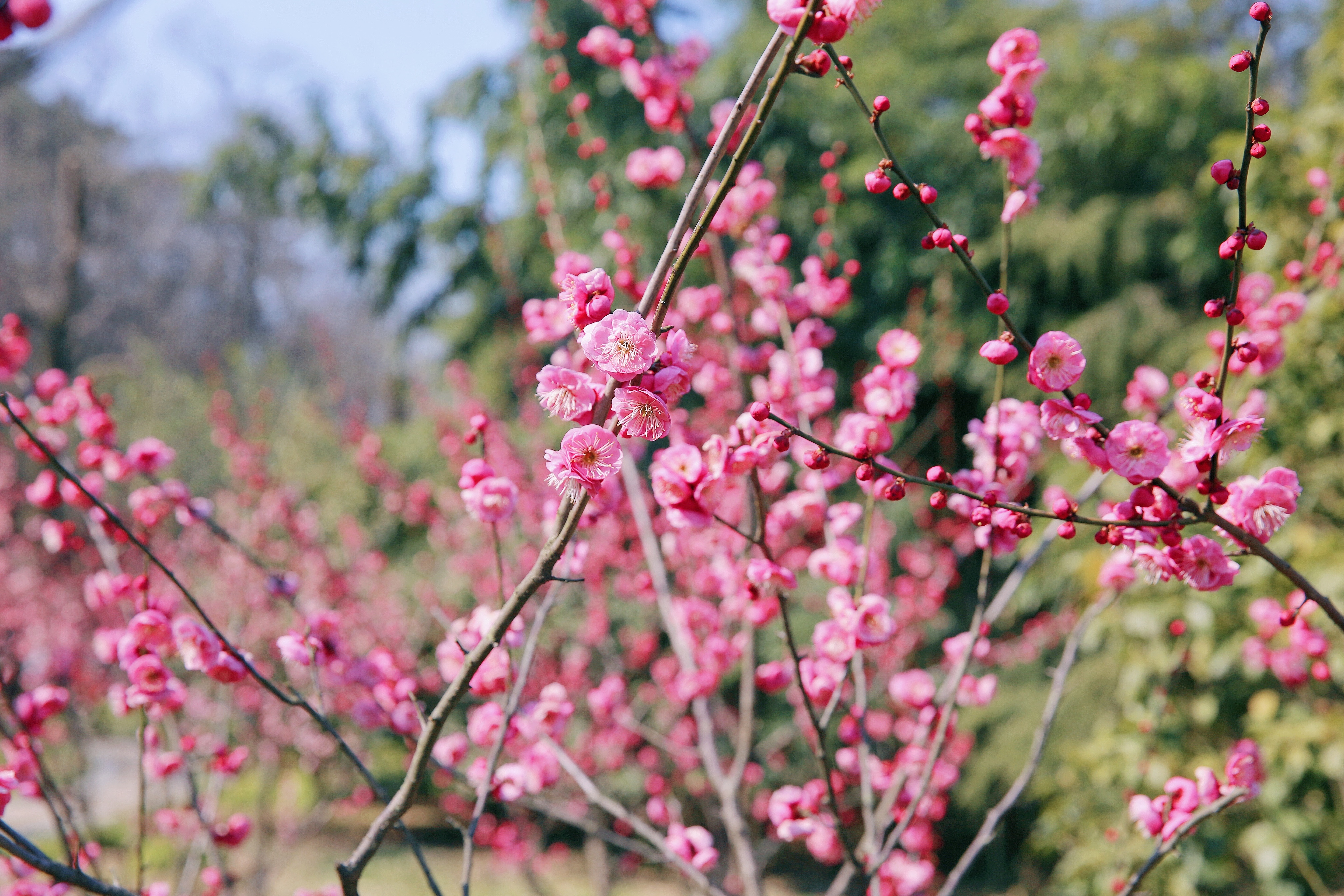 首页-PT视讯厅真人官方网站