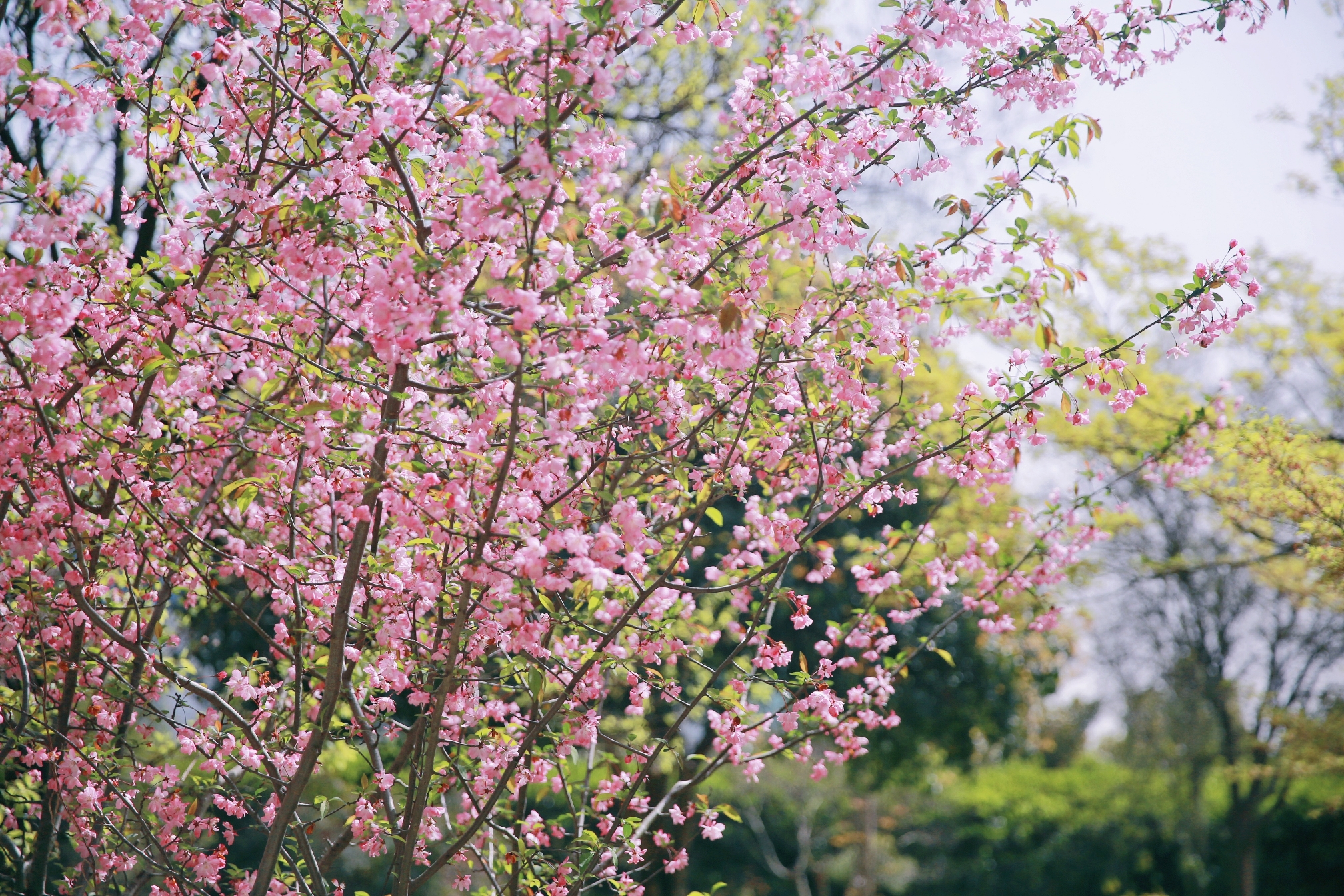 首页-PT视讯厅真人官方网站